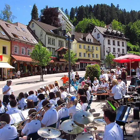 Country-style Flat With Garden Triberg im Schwarzwald